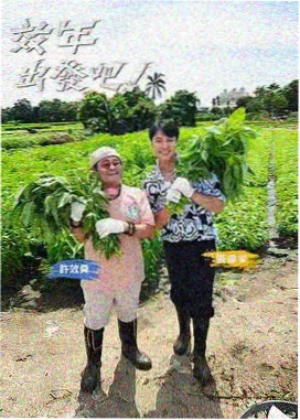 厨房里的哲学家 美食综艺在线看